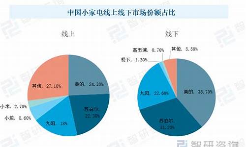 小家电销售分析-09年销售小家电有前途